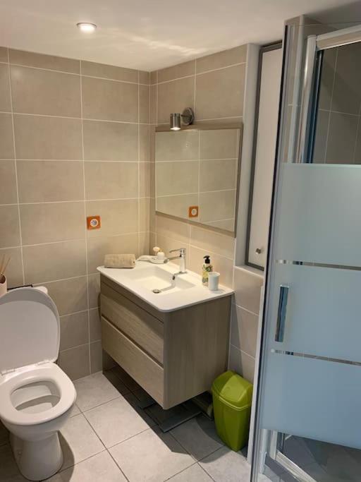 Triplex De Charme Centre Ville Limoges Luaran gambar